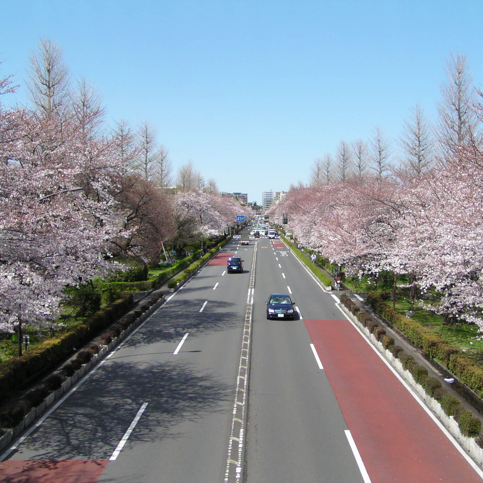 大学通り歩道橋からの写真