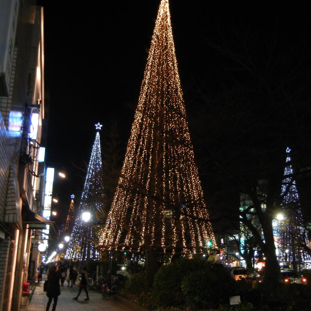 大学通りのライトアップの写真